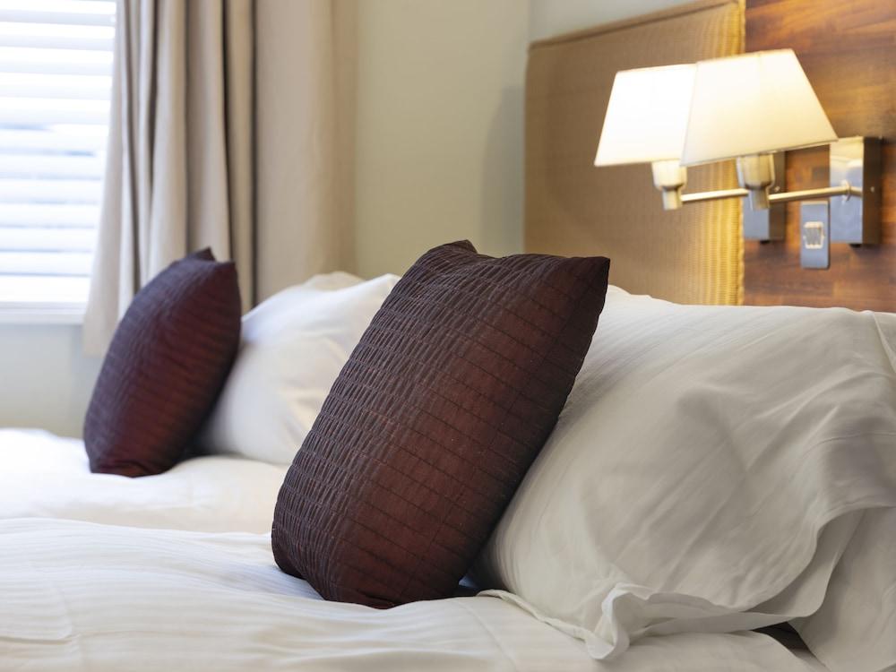 The Headland Hotel And Spa New Quay Εξωτερικό φωτογραφία